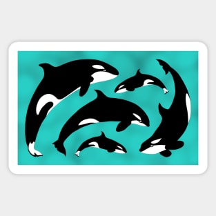 Orca pod - blue background Sticker